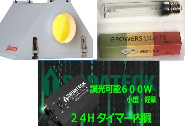 画像1: 電球１本で300-450-600wに点灯できるHPSセット (1)