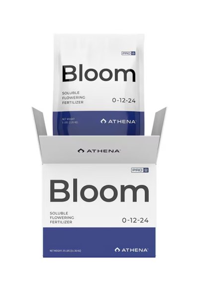 画像3: PRO LINE BLOOM